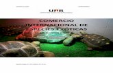 COMERCIO INTERNACIONAL DE ESPECIES … · deontologÍa veterinaria comercio internacional de especies exÓticas mercado negro irina camis, clara casanova, luna brizi curso 2010/2011