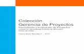 Colección Gerencia de Proyectos - jogoes75.weebly.comjogoes75.weebly.com/uploads/1/4/0/0/14000276/estudio_de_mercado... · Gerencia de Proyectos Formulación y Evaluación de Proyectos