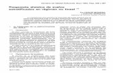 REVISTA DE OBRAS PUBLICAS, Mayo 1983, Págs. …oa.upm.es/32546/1/SAMARTIN_067.pdf · ondas planas de volumen inclinadas a diferen ... RESPUESTA SISMICA DE SUELOS ESTRATIFICADOS EN