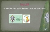 JUAN CAZORLA GODOY - Desarrollo rural Lanzarote … · HISTORIA Y BIOLOGÍA DE LA COCHINILLA ... similares al caucho). Fuente: Sáenz y Sepúlveda (1993 ... + Retirar el preparado