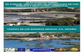 LAGUNAS DE LAS MORERAS (MURCIA, S.E. ESPAÑA) · ambiental en las Lagunas de Las Moreras (Murcia, SE de España) es el resultado de la Acción D.6 del ... humedales artificiales donde
