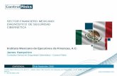 SECTOR FINANCIERO MEXICANO: DIAGNÓSTICO …imef.org.mx/.../2015/mdi/septiembre/seguridad_cibernetica_mx_02.pdf · Tiempo de inactividad significativo para los sistemas de banca en