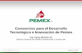 Consorcios para el Desarrollo Tecnológico e …2006-2012.conacyt.gob.mx/.../201102/...el_Desarrollo_Tecnologico.pdf · Importancia del desarrollo tecnológico para Pemex ... y el