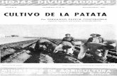 MADRID NUMERO 22-53 H NOVIEMBRE= 1953 … · CULTIVO DE LA PATATA La patata prospera en todas las provincias españolas. Puede cultivarse en ^ecano en las comarcas de eerano f res-co