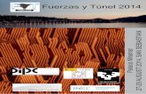 Fuerzas y Túnel 2014 - mscnano.eu€¦ · Centro de Física de ... (UAM) Jose Ignacio Pascual (CIC-Nanogune ... In the context of science disemination for the general public, José