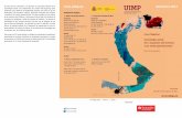 Santander 20172).pdf · En este curso se presentan y se discuten los conceptos básicos de la ... Métodos de detección de planetas extrasolares. ... 2017-0875_UIMP_Triptico_63JH.indd