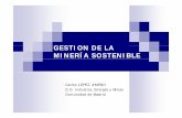 GESTION DE LA MINERÍA SOSTENIBLE - Consejo …ingenierosdeminas.org/documentos/Gestion Minera Sostenible... · ORÍGENES DE LA MINERÍA La minería ha sido desde los tiempos remotos