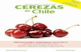EDICIÓN ESPECIAL INTERNACIONAL t CEREZAS de … · reportaje: Chile Chico: Fruticultura en el fin del mundo IndustrIa: trabajando por la calidad y condición de la fruta e su copia