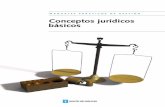 Conceptos jurídicos básicos - Valladolid Emprende · 6.1 Concepto y ... do momento de su vida –de ahí el título conceptos jurídicos básicos- y se han ... Profesionales de