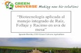 “Biotecnología aplicada al manejo integrado de Raíz ... · - Los productos con microorganismos son efectivos tanto en aplicación al suelo, como en aplicación foliar; en el caso