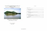 ANALISIS DE LOS ESTUDIOS DE IMPACTO AMBIENTAL DEL …philip.inpa.gov.br/publ_livres/dossie/mad/outros documentos/molina... · Análisis EIA Complejo Madera Hidrología y Sedimentos