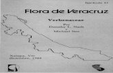 Flora de Veracruz - INECOL · FLORA DE VERACRUZ Publicada por el Instituto Nacional de Investigaciones sobre Recursos Bióticos Xalapa, Veracruz, México. Fasiculo 41 VERBENACEAE