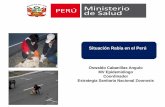 Situación Rabia en el Perú - saludarequipa.gob.pe · Vigilancia de Enfermedades Zoonóticas Peste Rabia Leptosprosis humana urbana Rabia humana silvestre Carbunco Zoonosis de notificacion