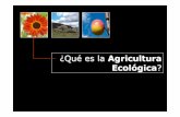 ¿Qu ées la Agricultura Ecológica - BIODIVERSIDAD Y CULTURA · todos los aspectos de su comportamiento innato ... + Mantener la diversidad genética del sistema agrario y de su