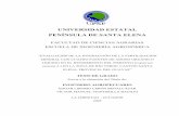 UNIVERSIDAD ESTATAL PENÍNSULA DE SANTA ELENArepositorio.upse.edu.ec/bitstream/46000/902/1/CERÓN BENALCÁZAR... · los rubros promisorios para su comercialización a nivel interno