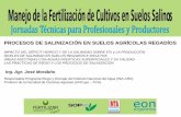 PROCESOS DE SALINIZACIÓN EN SUELOS AGRÍCOLAS … · Responsable Programa Riego y Drenaje del ... la recuperación de los suelos, mejorando el drenaje ... para planificar el manejo