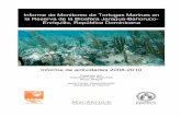 Informe de Monitoreo de Tortugas Marinas en la Reserva de ... · En la República Dominicana, las tortugas marinas, y especialmente el carey, ... las temporadas de puesta de 2010