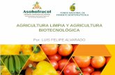 AGRICULTURA LIMPIA Y AGRICULTURA BIOTECNOLÓGICAasohofrucol.com.co/archivos/biblioteca/8Cultivos... · 2014-06-04 · • Insecticidas biológicos (Bt), el efecto de antibióticos