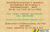 USO DE BIOFERTILIZANTES Y BIOFUNGICIDAS EN EL …perkinsltda.com.co/articulos/07.pdf · 2018-08-29 · Puede aplicarse con insecticidas, fertilizantes foliares, fungicidas. MICROORGANISMOS