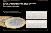 ARTÍCULOS Las parasitosis porcinas y sus repercusiones ... · ectoparásitos, por abortos directos causados por toxoplasmosis, etc. n ...