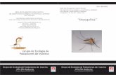 Serie de divulgación sobre insectos Cuadernillo nº 8 - Año ... · una serie de reacciones inmunológicas que inducen la liberación en la sangre de una sustancia llamada histamina,