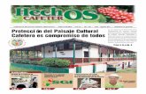 Publicación del Gremio Cafetero Vallecaucano • ISSN 0120 ... · por supuesto del trabajo ejemplar de un grupo de familias ... que funcionan compras de café y almacenes de provisión