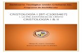 CRISTOLOGÍA I [BT-C1003467] - seminarioteologicouc.netseminarioteologicouc.net/.../06/PDF-CRISTOLOGIA-1II-Template-1.pdf · existido y desde la creación del hombre y antes de su