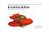 Descriptores para el tomate ( Lycopersicon spp.) · Los datos de evaluación deben ser enviados al banco de germoplasma donde se mantendrá un archivo de datos. ... compuesto por