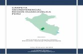 CARPETA GEOREFERENCIAL REGIÓN HUANCAVELICA PERÚ · 7.2 Denuncias por violación sexual registrados por la PNP, por día y hora de la agresión, año 2014 7.3 Conflictos sociales