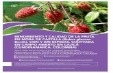 rendiMiento y calidad de la Fruta en Mora de castilla ... · REsumEn En el presente trabajo se compara el rendi-miento del cultivo, la calidad de la fruta cose-chada y la duración