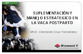 MVZ. Clemente Cruz Fernández - Biotay S.A. – Pensando ... · Vigile los niveles de K. pH en orina cada ... Da la oportunidad de identificación y Tratamiento temprano de vacas