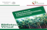 Programa de Desarrollo de Plantaciones Forestales Comerciales .plantaciones forestales comerciales