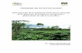 INFORME DE INVESTIGACION - mag.go.cr · nitrogenado a plantaciones de café en Costa Rica. 1.1.1. Objetivos específicos: 1.- Caracterizar el patrón de emisión de N ... La escogencia