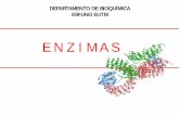 E N Z I M A S - esfunoes.fmed.edu.uy · En su gran mayoría son proteínas Catalizadores biológicos: aceleran muchísimo la velocidad de las reacciones (10 6 – 1014 veces) Poseen