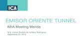 EMISOR ORIENTE TUNNEL - I mia · ANDESITA SIERRA . DE GUADALUPE . ABANICOS. ALUVIALES . ARCILLAS LACUSTRES CONSOLIDADA 07 S. ... EMISOR ORIENTE TUNNEL. RISKs. In this type of project,