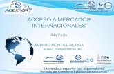 ACCESO A MERCADOS INTERNACIONALES - …portal.export.com.gt/Portal/Documents/Documents/2012-04/8039/2483... · MINIMALISMO SER DIFERENTE CANALES CORTOS VENTAS EN LINEA FERIAS INTERNACIONALES