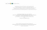 REPÚBLICA BOLIVARIANA DE VENEZUELA PROGRAMA: …biblioteca2.ucab.edu.ve/anexos/biblioteca/marc/texto/Marzo 2018... · de Industriales y el sustento que a través del PNP (Programa