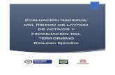 EVALUACIÓN NACIONAL DEL RIESGO DE LAVADO DE … · 2017-05-16 · Resumen Ejecutivo. 0 Contenido 1. ... por ejemplo, la necesidad de ... Preparación del informe preliminar 12 al