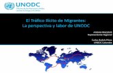 El Tráfico Ilícito de Migrantes: La perspectiva y labor ... · SEMEJANZAS • Ocurren en ... desastres naturales, conflictos y guerras civiles, ... • Trata de personas interna