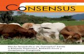 CoNSeNSuS - swissagro.comswissagro.com/documentos/CONSENSUS 7 2012.pdf · pasando por cursos febriles de diverso nivel de ... para cada animal se construyeron curvas de fluctuación