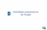 Actividades productivas en las Yungas - Programa 2Mp · El presente taller está orientado a las actividades productivas desarrolladas en la Selva de Yungas. Se propone el estudio