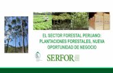 EL SECTOR FORESTAL PERUANO: PLANTACIONES …suscripciones.bcrp.gob.pe/docs/Proyeccion-Institucional/Encuentros... · PASTOS NATURALES 20.5 Mills ha (15.9%) FAUNA SILVESTRE SERVICIOS