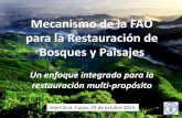 Mecanismo de la FAO para la Restauración de Bosques y Paisajesinterclima.minam.gob.pe/Presentaciones/2015/Dia3/Mesa-1/Exposicion... · o Más de 2 .000 millones de hectáreas de