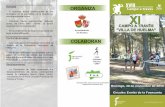 Triptico de huelma - Diputación de Jaén, Cultura y ...deportes.dipujaen.es/documentos/competicion/campo_atraves/pruebas/... · El Ayuntamiento de Huelma y la Asociación para el