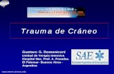 Trauma de Cráneo - reeme.arizona.edu de craneo1.pdf · Grupo de Trabajo Neurointensivo e investigadores institucionales Medicina Intensiva 2000 Suplemento Nº1 vol. 17, pag 113.