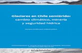 Glaciares en Chile semiárido · glaciares, con los ... como por ejemplo la fecundación de suelos, provisión de madera y regulación de inundaciones y la calidad de aguas. Además,