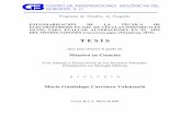 T E S I S - cibnor.repositorioinstitucional.mx · programa de estudios de posgrado estandarizaciÓn de la tÉcnica de electroforesis en gel de cÉlulas individuales (scge) para evaluar