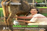 Proyecto Paraguay Inclusivo (PPI) - mag.gov.py 2015 - BOLETIN PPI N004.pdf · ha manifestado: “Hemos implementado un trabajo tecnológico, ... La Asociación de Ganado Lechero San