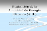 Evaluación de la Autoridad de Energía Eléctrica (AEE)aceer.uprm.edu/pdfs/pres_alameda_irizarry.pdf · 3 La AEE como monopolio natural La Autoridadde EnergíaEléctrica(AE(AEE)E)es