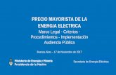 PRECIO MAYORISTA DE LA ENERGIA ELECTRICA - Inicio · PRECIO MAYORISTA DE LA ENERGIA ELECTRICA Marco Legal - Criterios - Procedimientos - Implementación Audiencia Pública Buenos